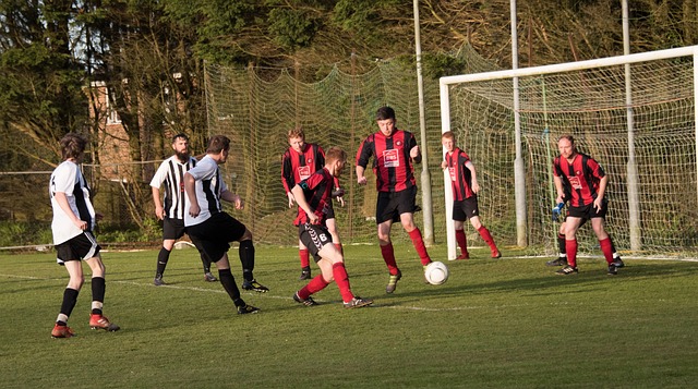 快船的出色 快船的出色