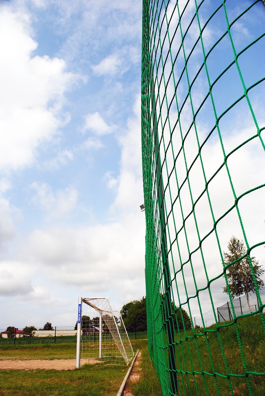 队与青岛海 队与青岛海