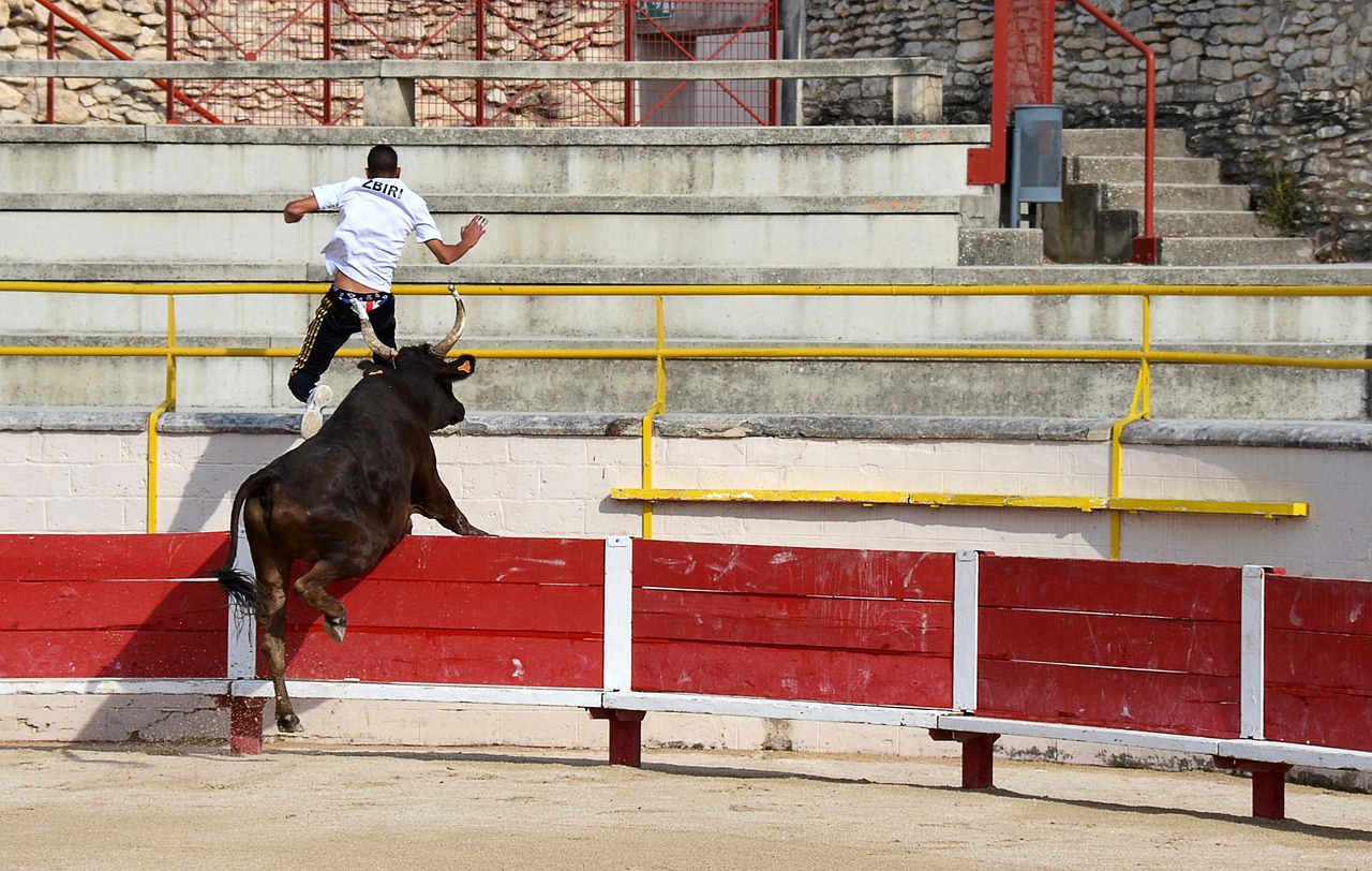 体验 体验